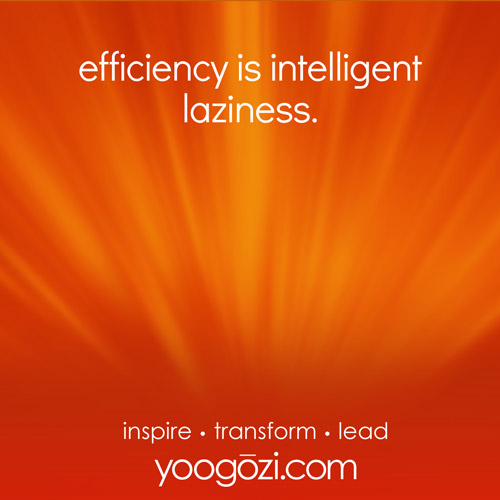 efficiency is intelligent laziness.