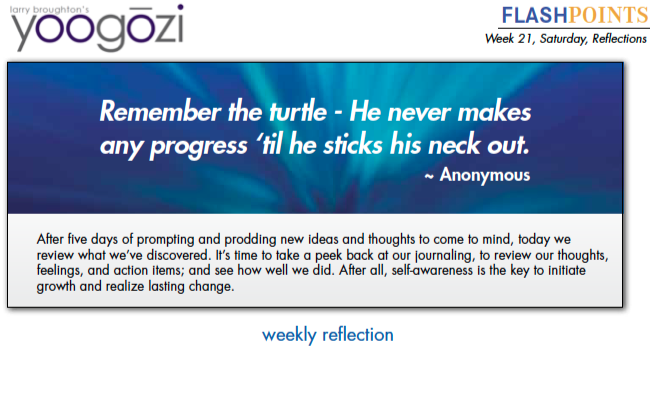 Remember the turtle - He never makes any progress ‘til he sticks his neck out. ~ Anonymous
