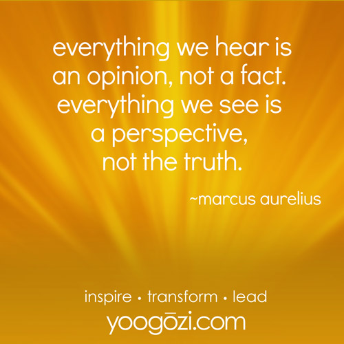 everything we hear is an opinion, not a fact. everything we see is a perspective, not the truth. ~marcus aurelius