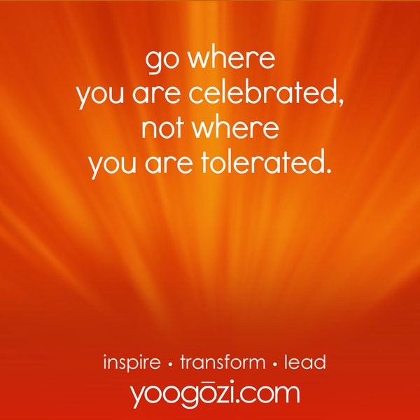 go where you are celebrated, not where you are tolerated.